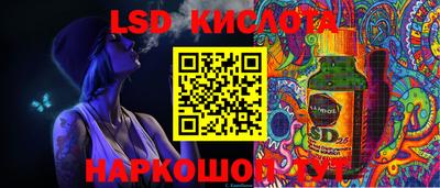 гидропоника Будённовск