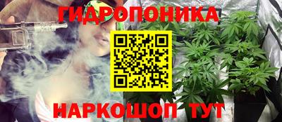 гидропоника Будённовск