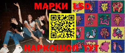 гидропоника Будённовск