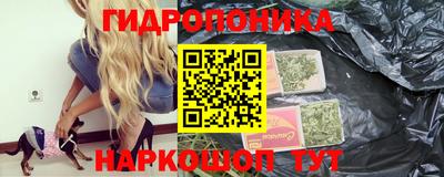 прущие крисы Волжск