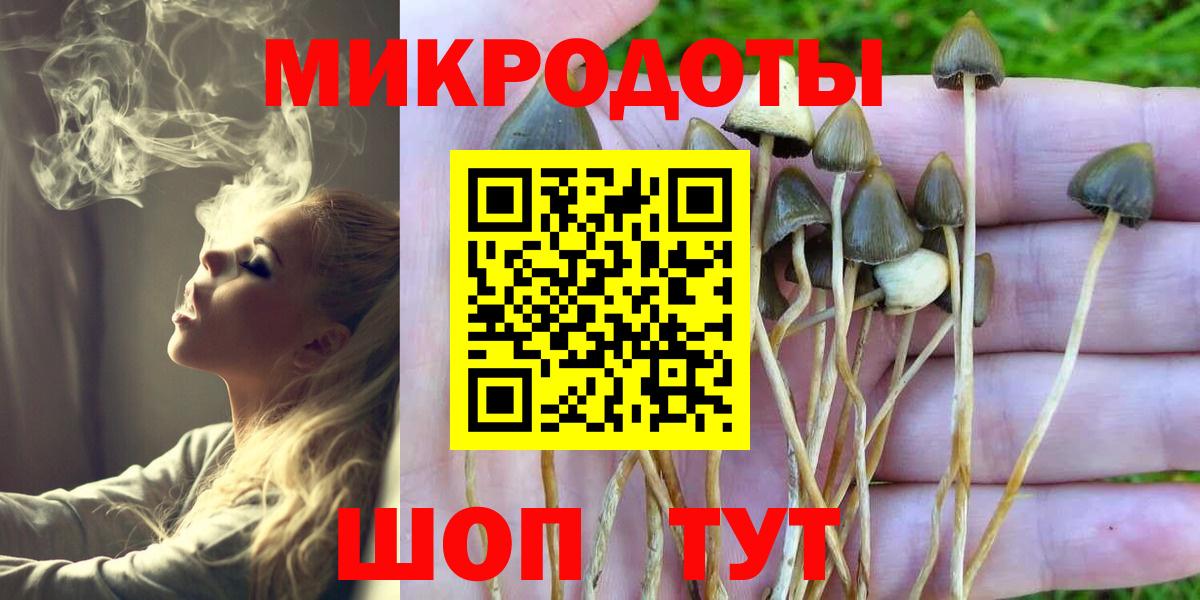 Галлюциногенные грибы MAGIC MUSHROOMS  Галлюциногенные грибы Psilocybe  Вход с VPN  Кушва 