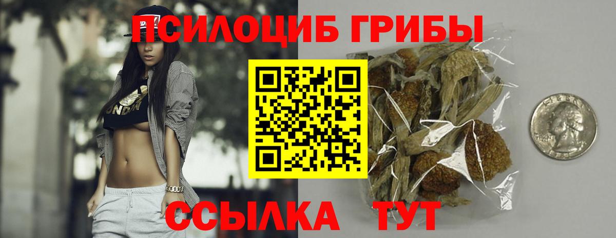 Псилоцибиновые грибы MAGIC MUSHROOMS Кушва